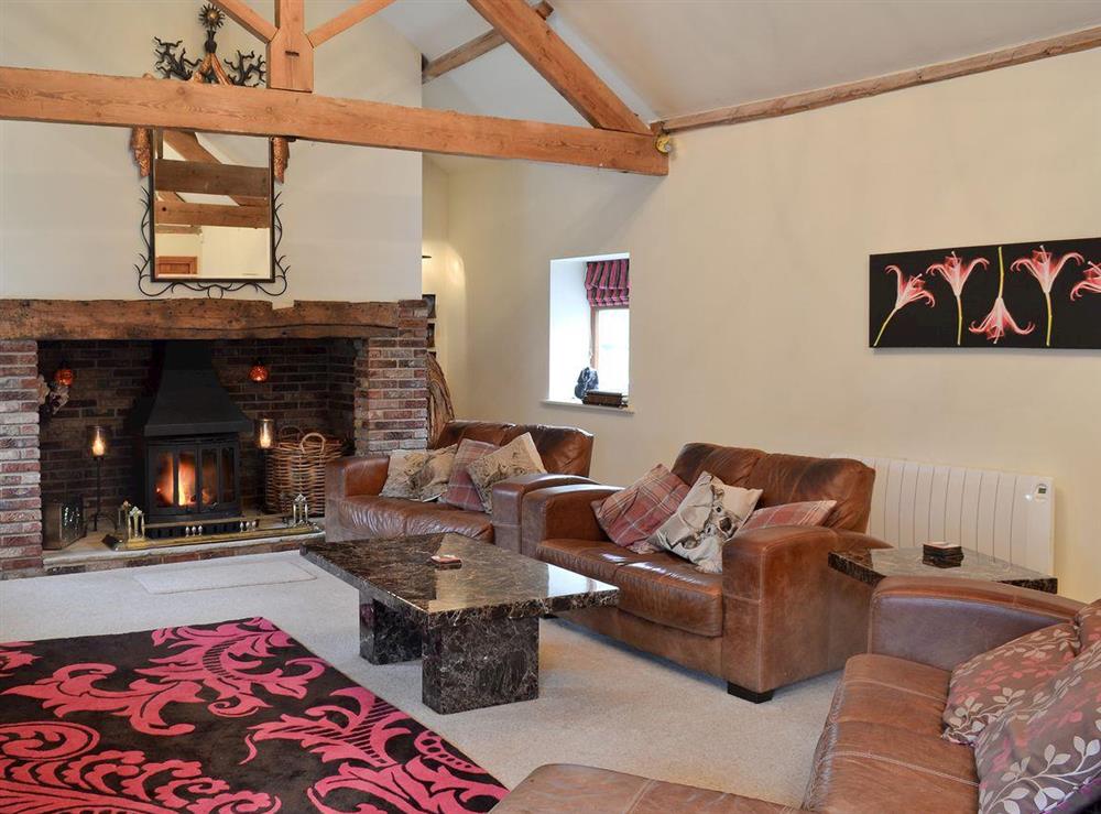 Living room with wood burning stove (photo 2) at Acrewood in Driffield, North Humberside