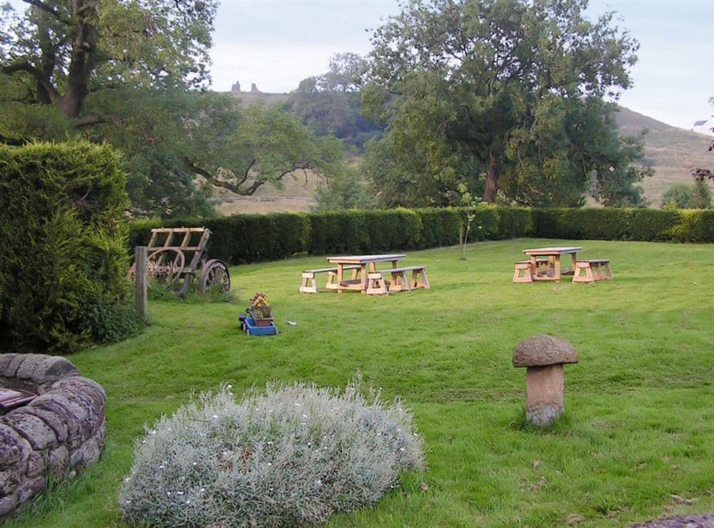 Garden and grounds at Adagio in Rosedale, near Pickering, North Yorkshire