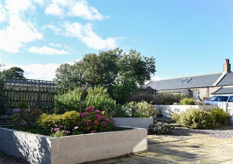 Enjoy the garden at Adderstone Cottage, Belford