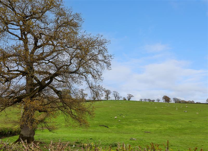 The setting around Aelybryn