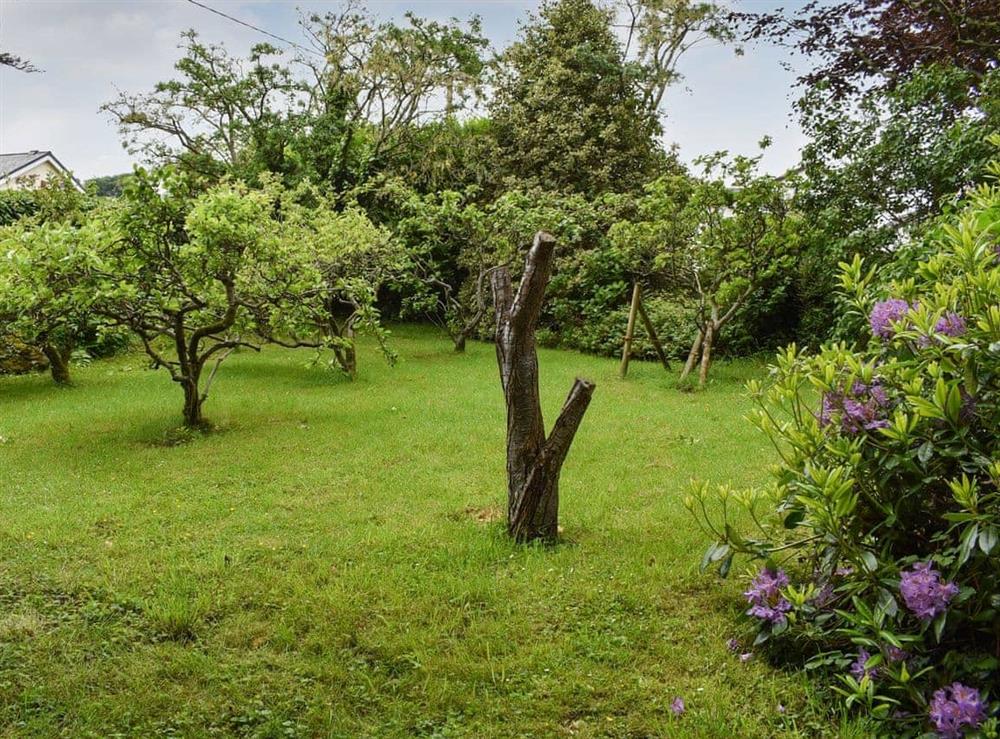 Garden at Aelybryn in Tyn Y Groes, County Conwy, Gwynedd