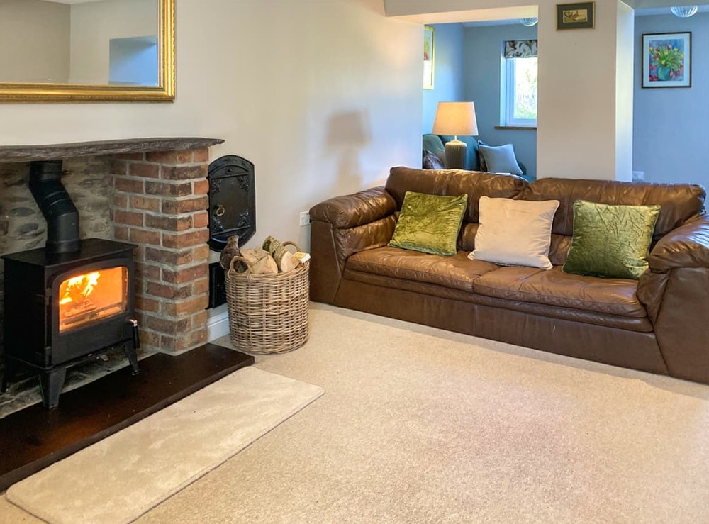 Living area (photo 2) at Aeron Villa in Tregaron, Dyfed