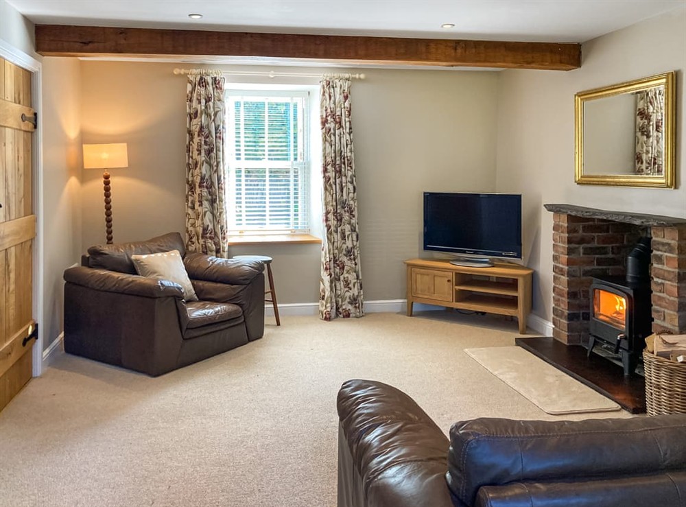 Living area at Aeron Villa in Tregaron, Dyfed