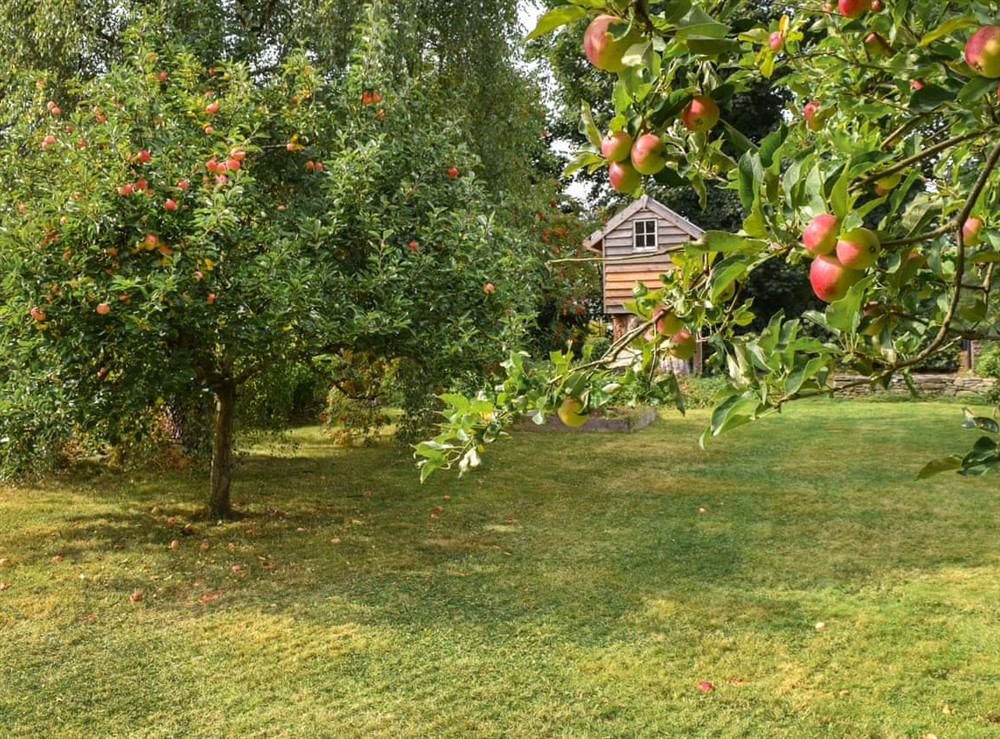Outdoor (photo 2) at Aeron Villa in Tregaron, Dyfed
