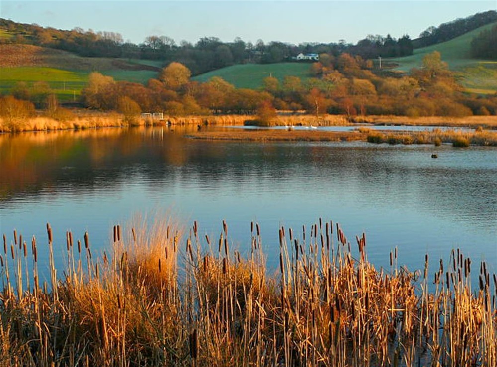 Surrounding area at Aeron Villa in Tregaron, Dyfed