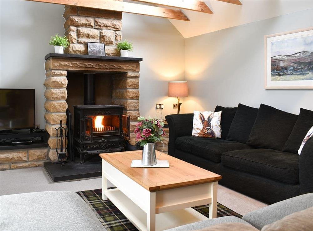 Cosy living room with wood burner at Ailnack Cottage in Tomintoul, Banffshire