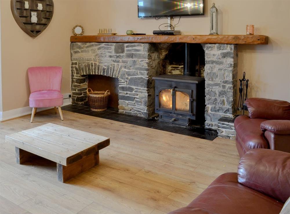 Living room at Airyhemming Farm in Newton Stewart, Wigtownshire