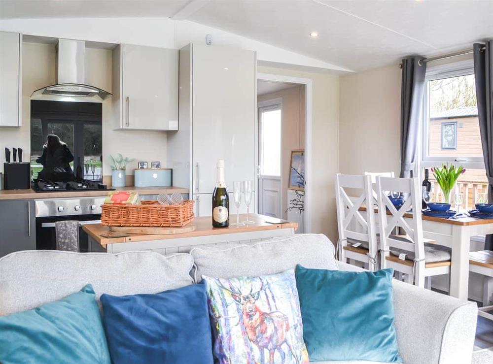 Open plan living space at Albatross Lodge in Sewerby, North Humberside