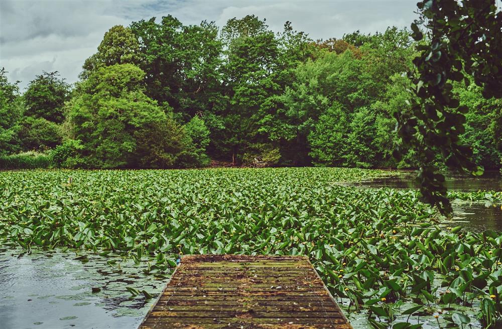 The dock over the lake