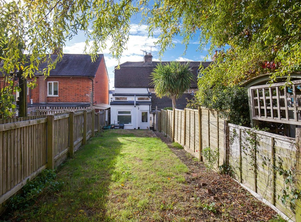 Outdoor (photo 2) at Alberts Cottage in Blandford Forum / Dorchester Dorset, England