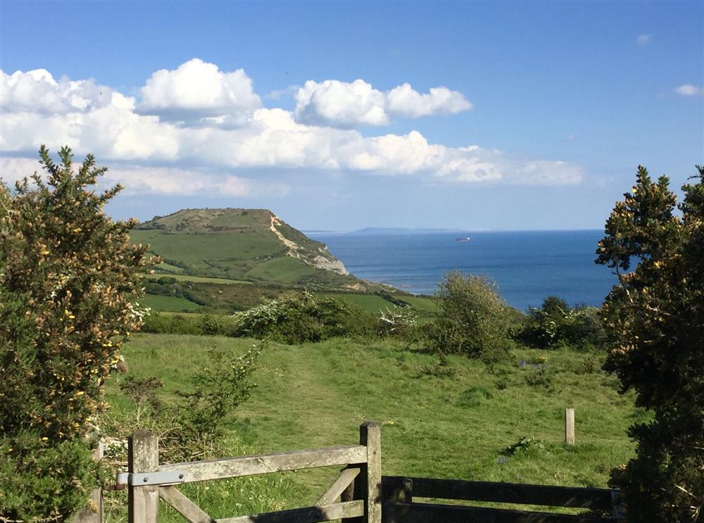 Enjoy walks across Stonebarrow which sits above the village at Albury House, Charmouth