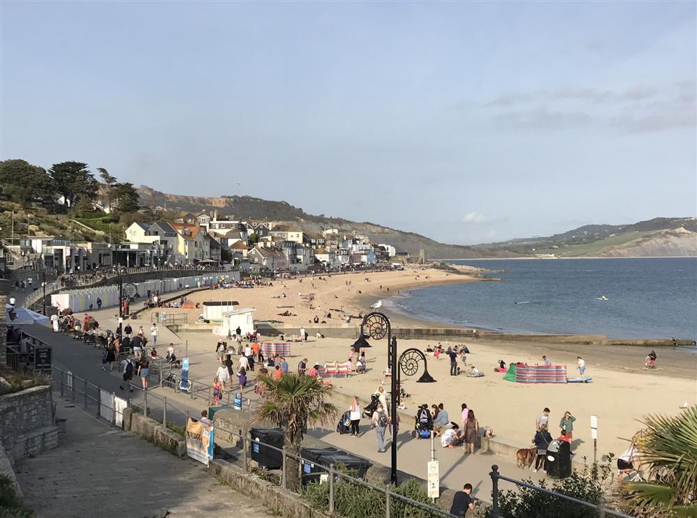 Ever popular Lyme Regis is a must visit on your break at Albury House, Charmouth