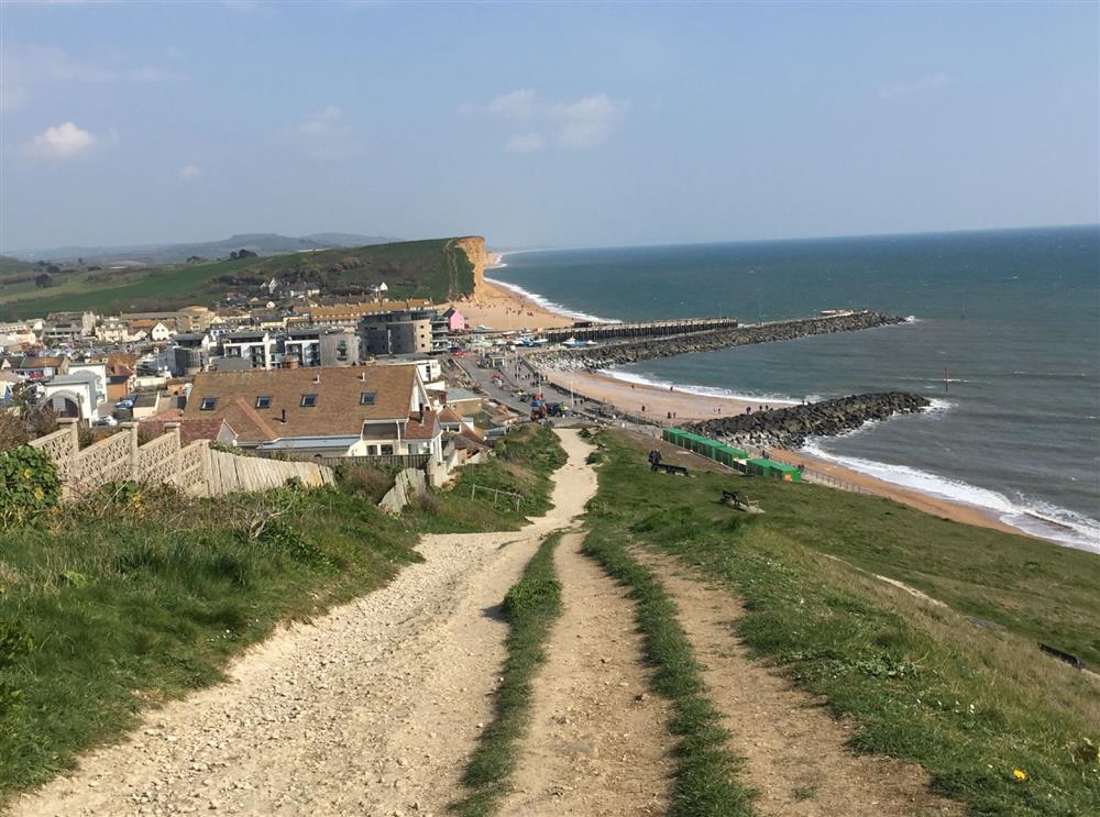The coastal path to West Bay at Albury House, Charmouth