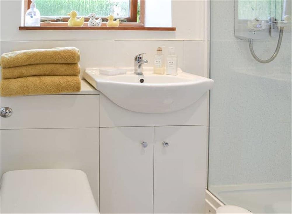 Shower room (photo 2) at Alder Cottage in Gateforth, North Yorkshire