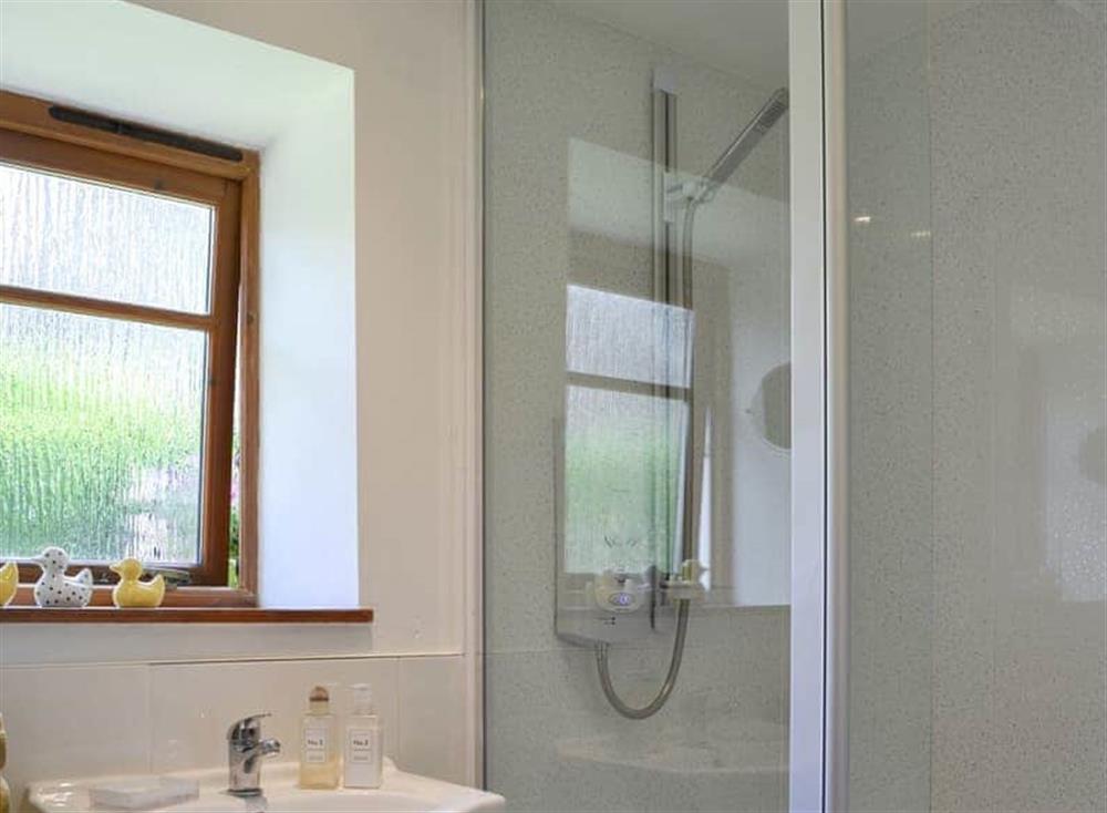 Shower room at Alder Cottage in Gateforth, North Yorkshire