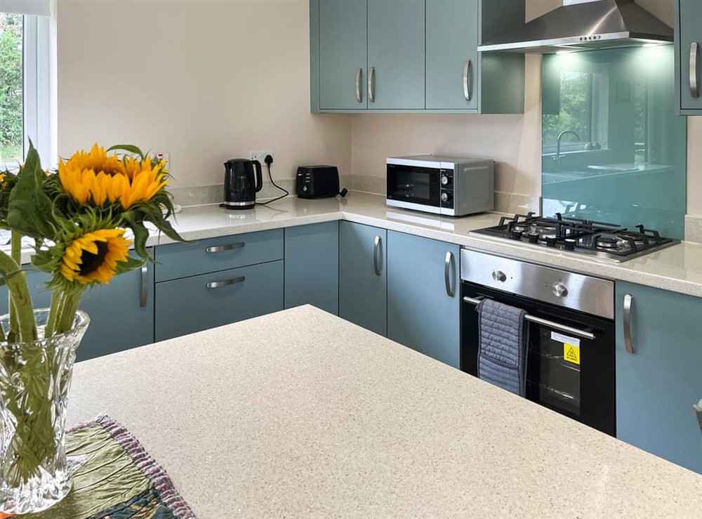Kitchen (photo 2) at Alderneuk Lodge in Dumfries, Dumfriesshire