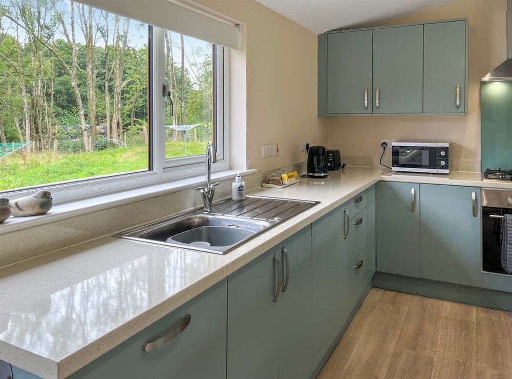 Kitchen at Alderneuk Lodge in Dumfries, Dumfriesshire