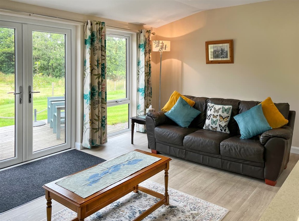 Living area (photo 2) at Alderneuk Lodge in Dumfries, Dumfriesshire