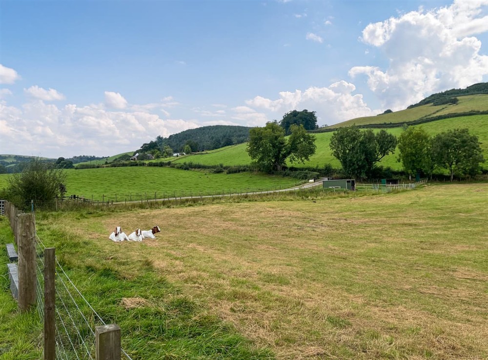 View (photo 2) at Alderneuk Lodge in Dumfries, Dumfriesshire