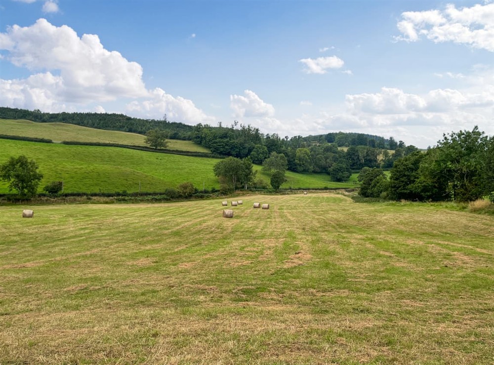 View at Alderneuk Lodge in Dumfries, Dumfriesshire