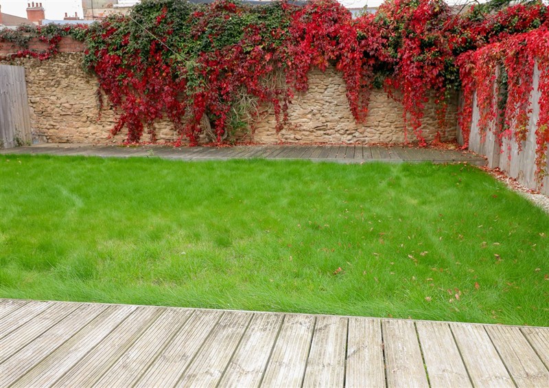 Enjoy the garden at Alexandra Retreat, Sutton-In-Ashfield