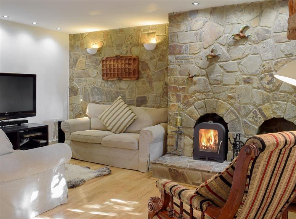 Warm and cosy living area with wood burner at Alices Cottage in near Kilgetty, Pembrokeshire, Dyfed