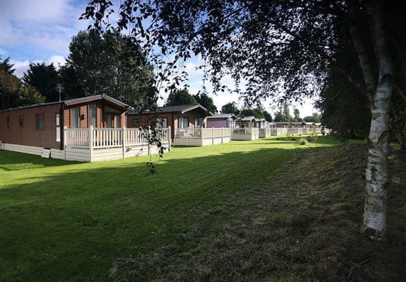 Lodges on Allerthorpe Golf and Country Park at Allerthorpe Golf and Country Park in Allerthorpe, Yorkshire