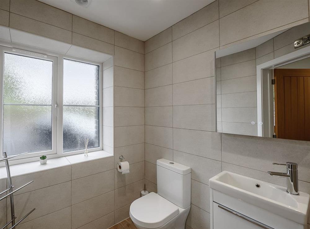 Bathroom (photo 2) at Allt Ddu in Tregaron, Ceredigion, Dyfed