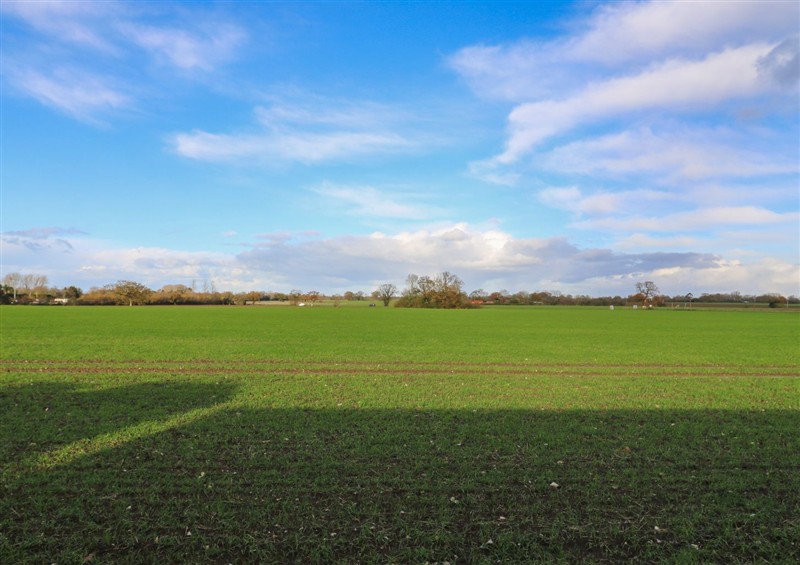 The garden in Aloe Lodge at Aloe Lodge, Banham