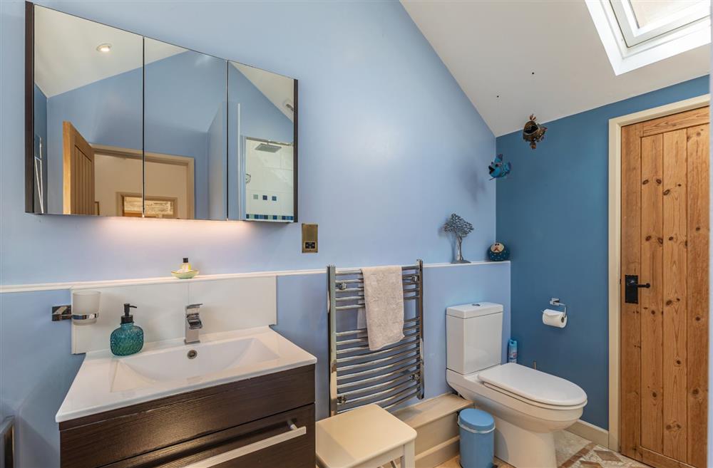 The en-suite walk-in shower room, hand basin and WC. at Alpaca Cottage, Dorchester