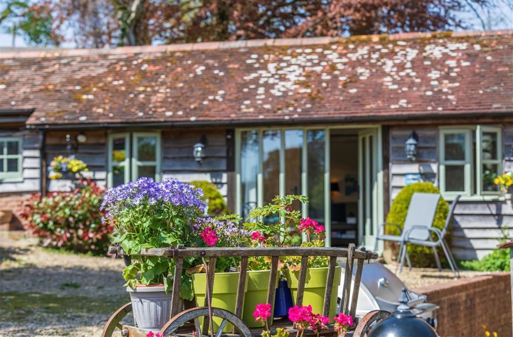 The gravelled courtyard, a perfect spot for alfresco dining at Alpaca Cottage, Dorchester