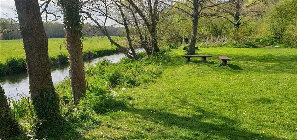 The River Frome and beautiful parkland nearby at Alpaca Cottage, Dorchester
