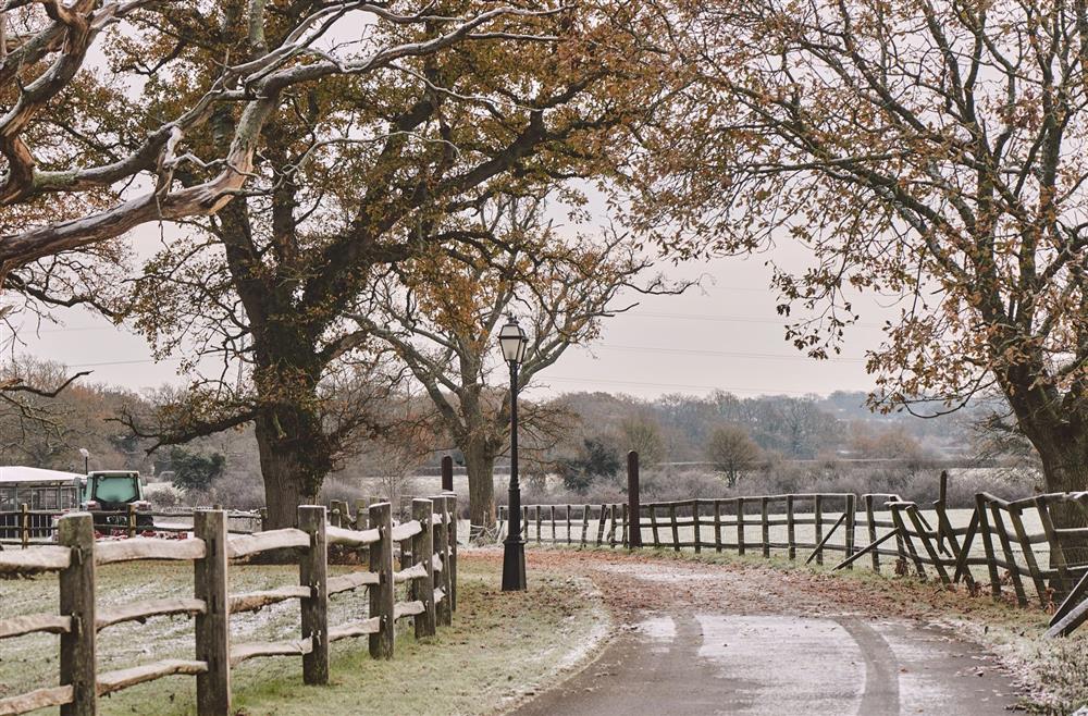 The driveway