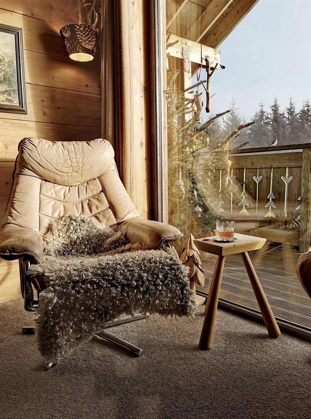 Alpina Lodge (photo 6) at Alpina Lodge in Newcastleton, Roxburghshire