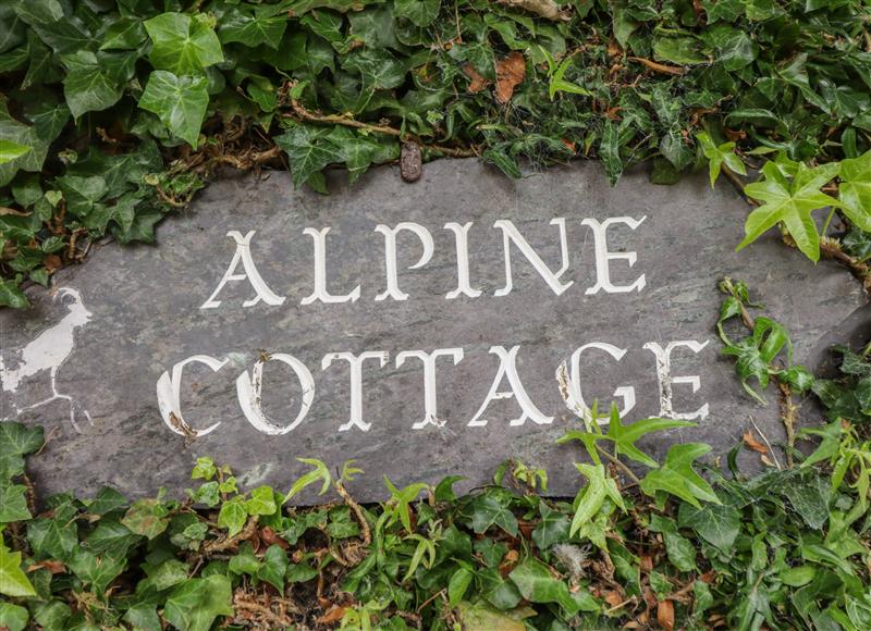 Outside at Alpine Cottage, Felindre near Beguildy