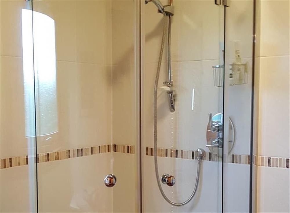 Shower room (photo 2) at Alpine Lodge in Kippford, near Dalbeattie, Kirkcudbrightshire
