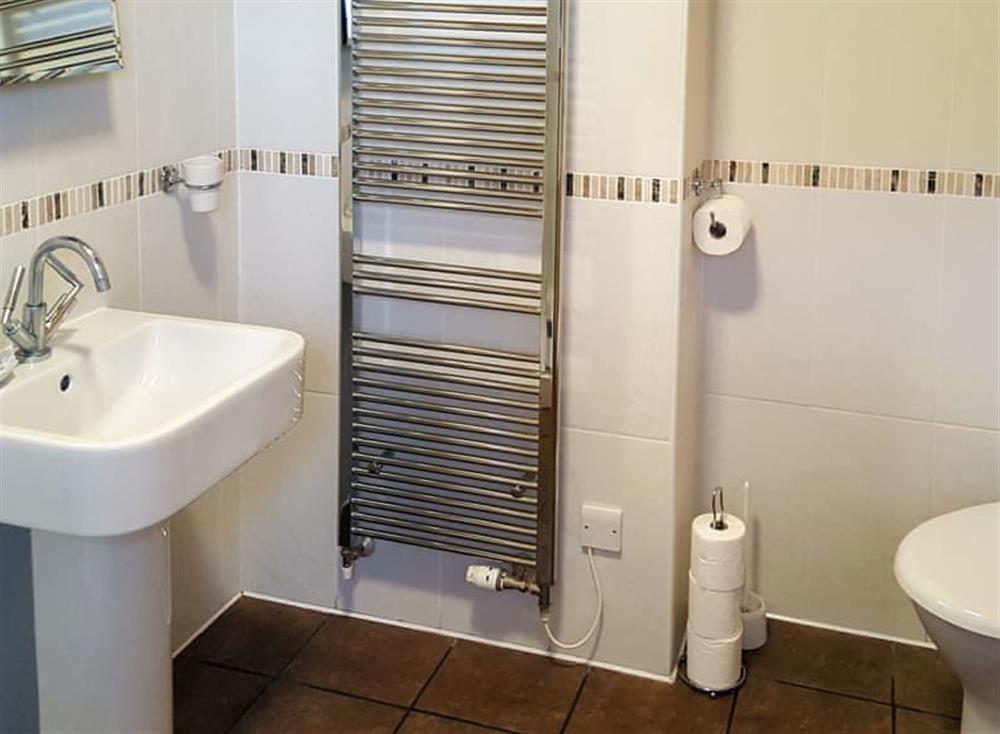 Shower room at Alpine Lodge in Kippford, near Dalbeattie, Kirkcudbrightshire