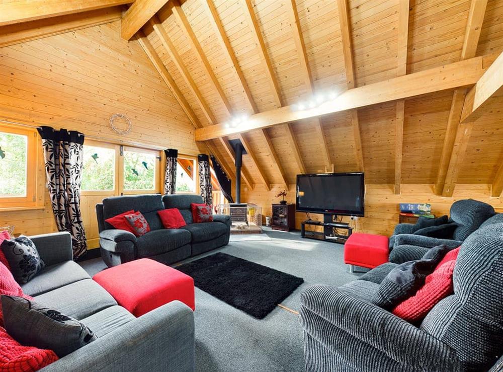 Living room at Alpine Lodge in Pentney, Norfolk