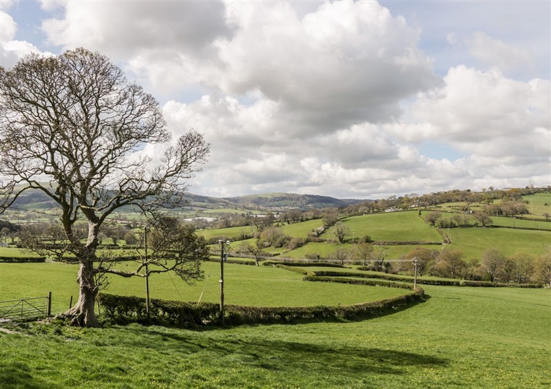 Outside (photo 2) at Alpine Lodge, Rhyd-y-Foel near Abergele