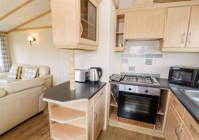 The kitchen (photo 2) at Alpine Lodge, Rhyd-y-Foel near Abergele