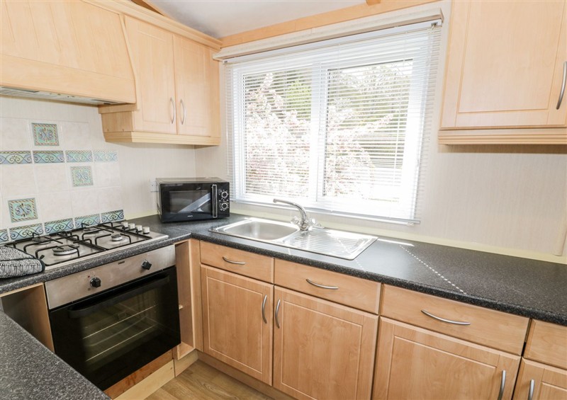 The kitchen at Alpine Lodge, Rhyd-y-Foel near Abergele