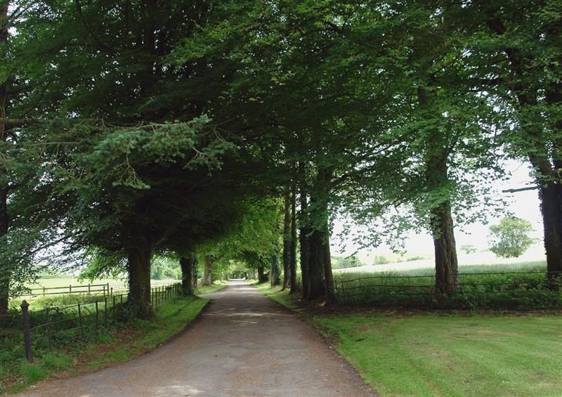 Rural landscape