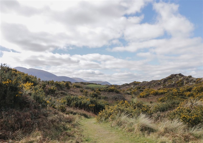 Enjoy the garden at Amaro Mourneview, Newcastle