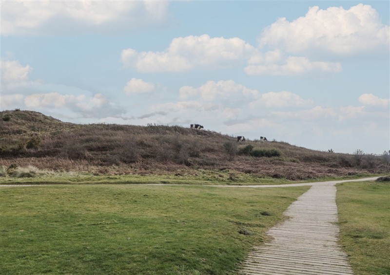 Outside at Amaro Mourneview, Newcastle