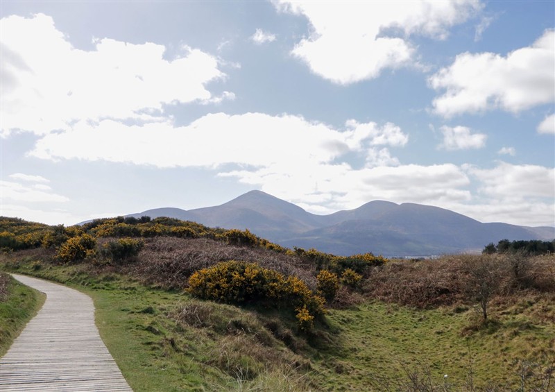 The area around Amaro Mourneview at Amaro Mourneview, Newcastle