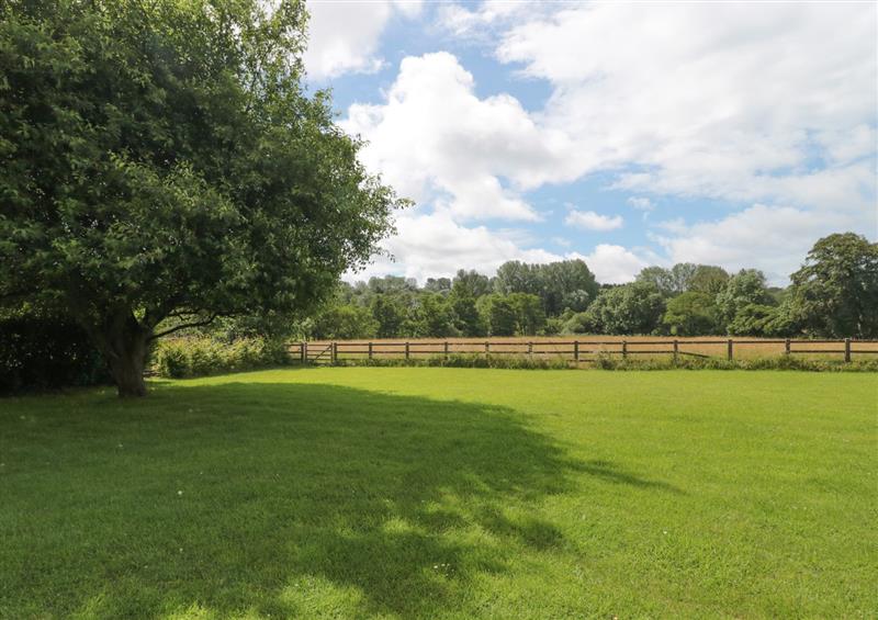 Rural landscape at Ammerham Farm Cottage, Ammerham near Winsham