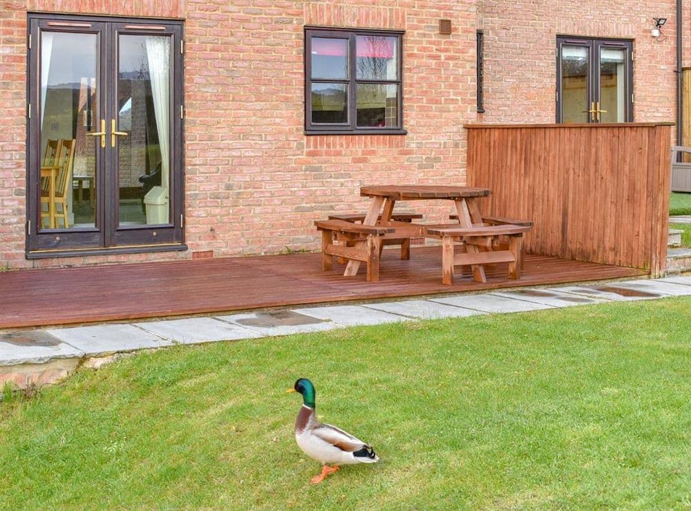 Garden at Ammonite Cottage in Whitby, North Yorkshire