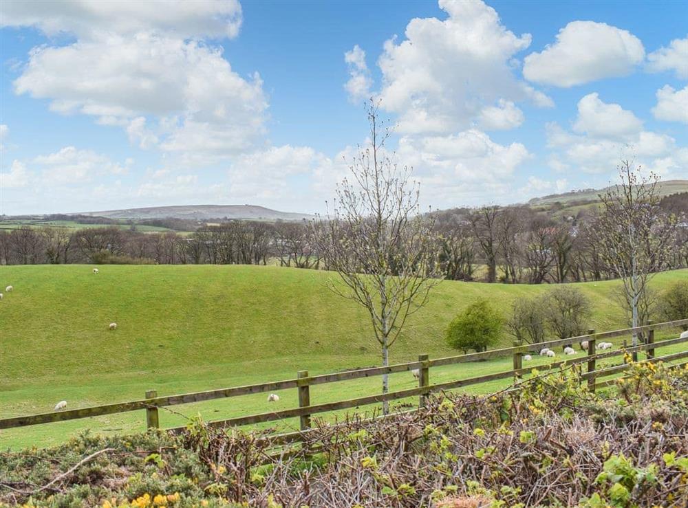 View (photo 2) at Ammonite Cottage in Whitby, North Yorkshire