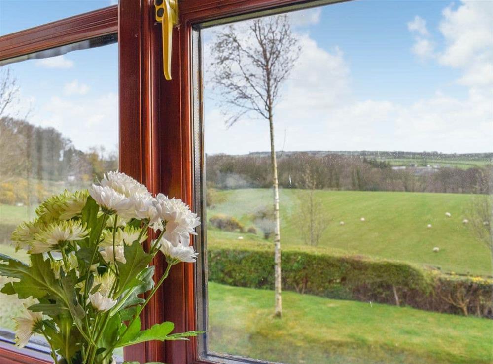 View at Ammonite Cottage in Whitby, North Yorkshire
