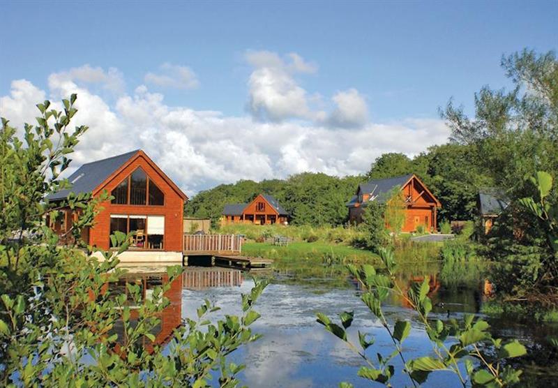 The park setting (photo number 4) at Anglesey Lakeside Lodges in Isle of Anglesey, North Wales